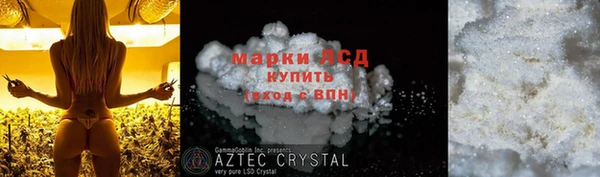 сатива Осинники