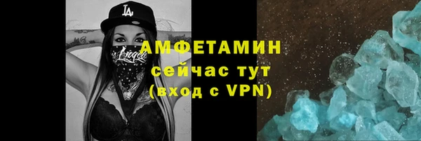 стаф Богданович