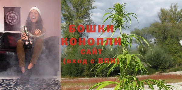 стаф Богданович