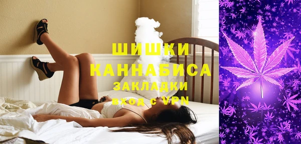 стаф Богданович