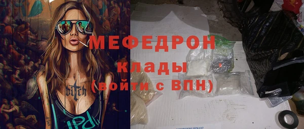 стаф Богданович