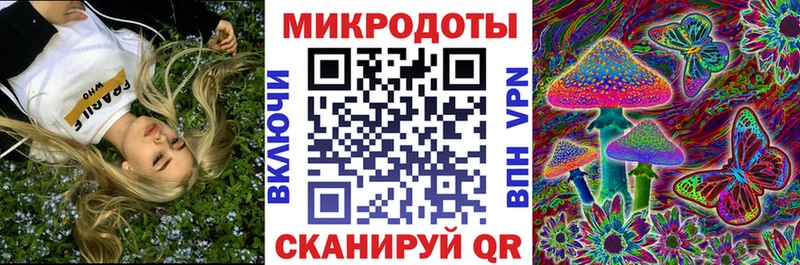 блэк спрут как войти  купить  цена  Кузнецк  Галлюциногенные грибы MAGIC MUSHROOMS 